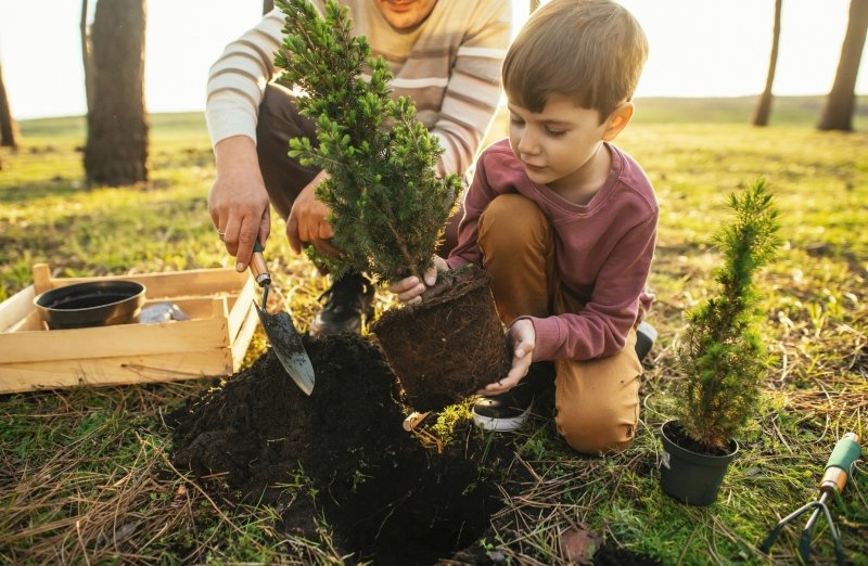 Photograph of child and adult planting a small tree as a service learning project