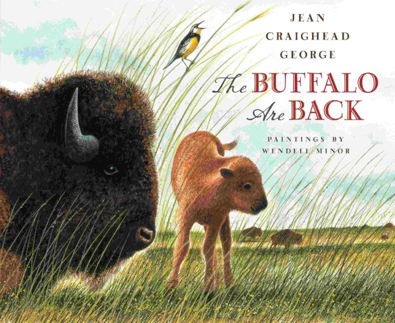 The Buffalo are Back book cover