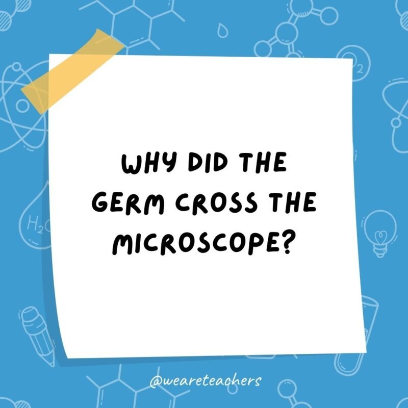 Science jokes: Why did the germ cross the microscope? To get to the other slide.