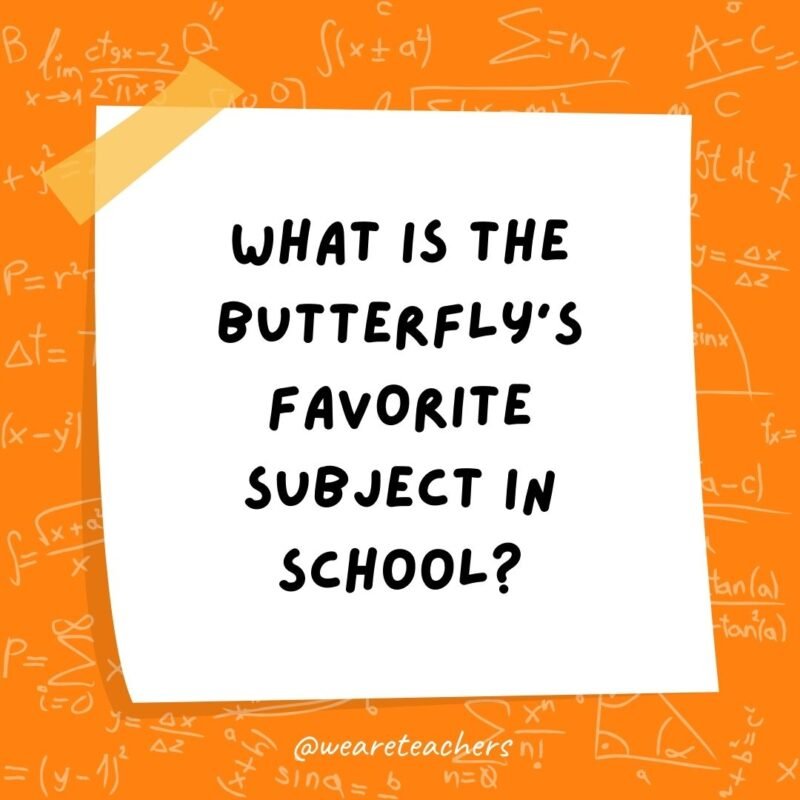 What is the butterfly’s favorite subject in school? Mothematics.