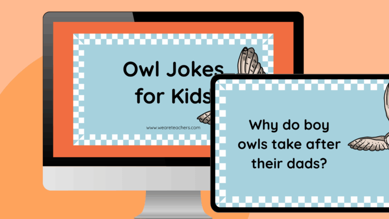 an image featuring owl jokes google slides