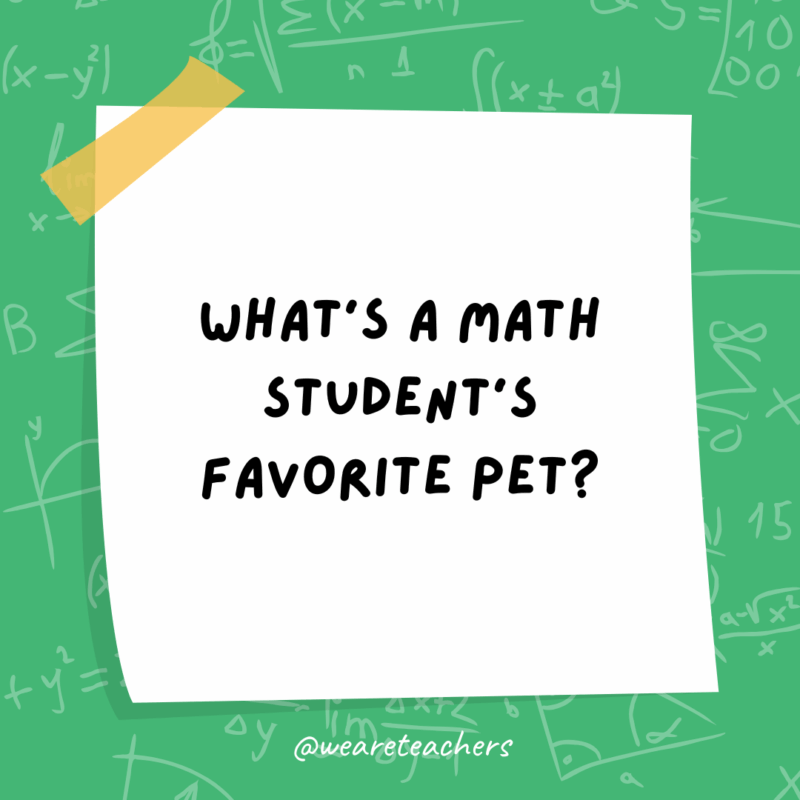 What’s a math student’s favorite pet?