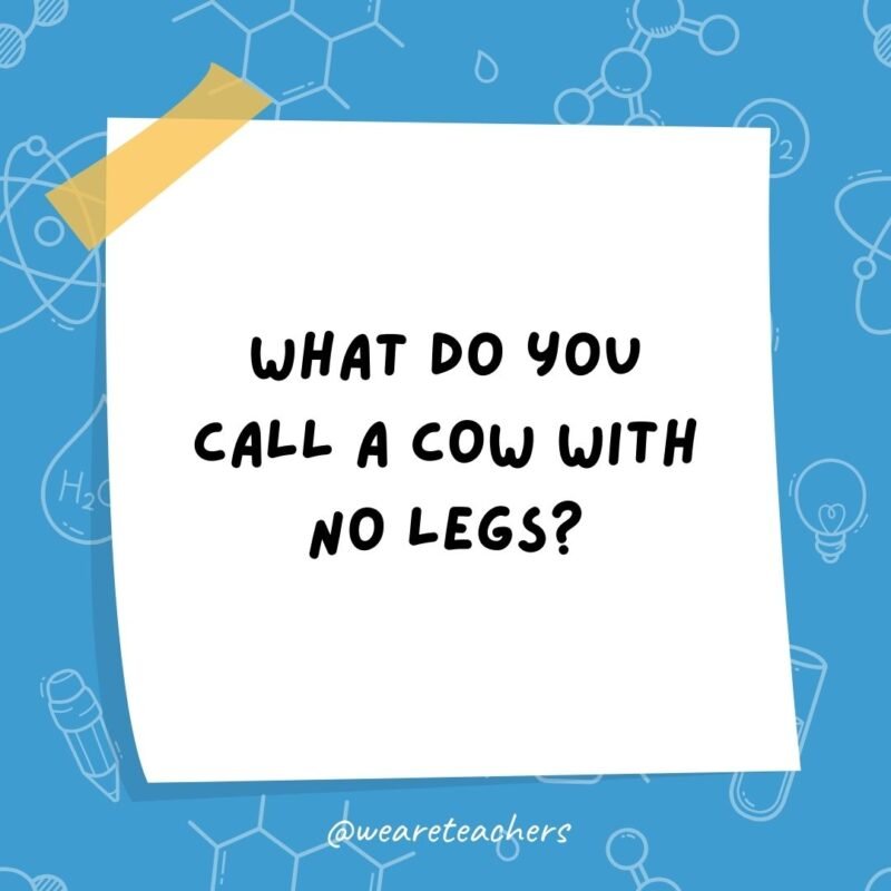  What do you call a cow with no legs?