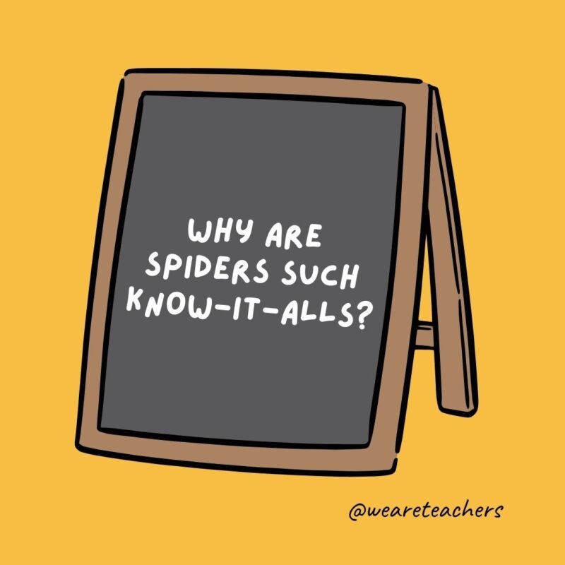Why are spiders such know-it-alls? They’re always on the web.- jokes for teens Why are spiders such know-it-alls? They’re always on the web.- jokes for teens