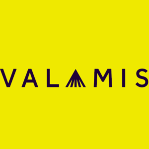 eBook Release: Valamis Learning Solution
