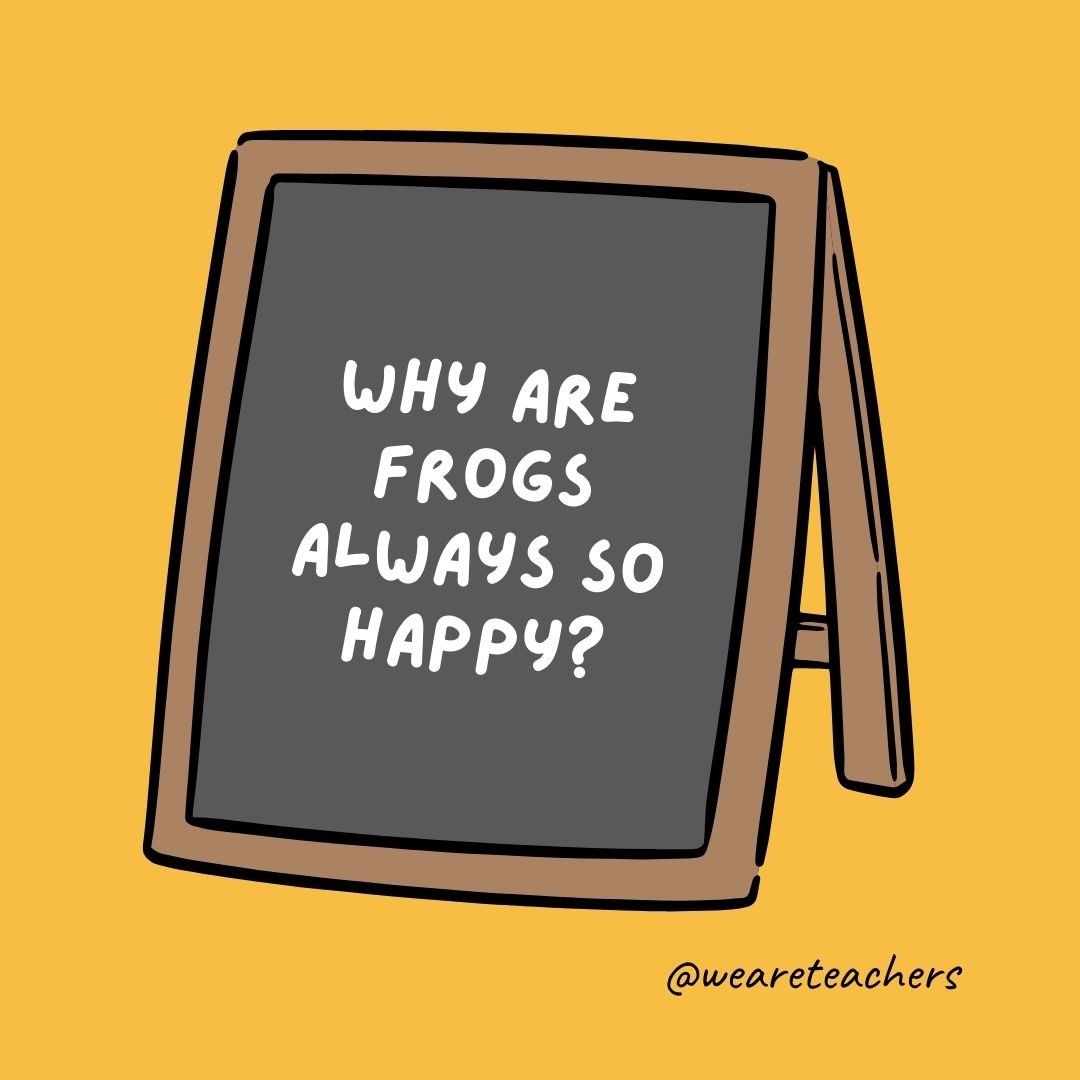 Why are frogs always so happy? They eat whatever bugs them. – jokes for teens Why are frogs always so happy? They eat whatever bugs them. - jokes for teens