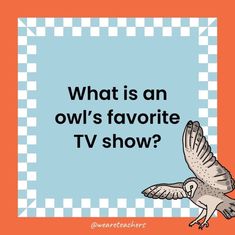 a joke that states: What is an owl’s favorite TV show?