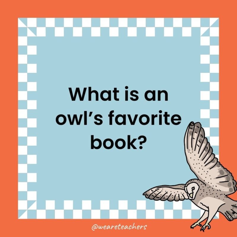 a joke that states: What is an owl’s favorite book?