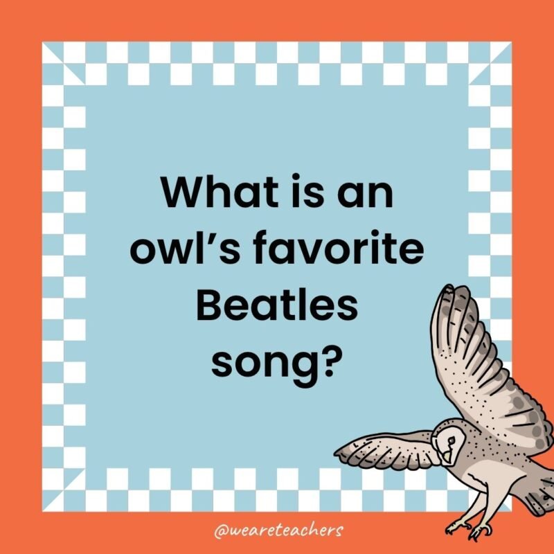 a joke that states: What is an owl’s favorite Beatles song?