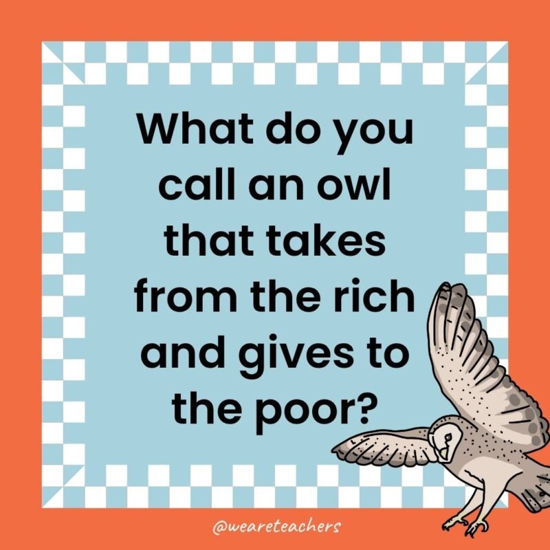 a joke that states: What do you call an owl that takes from the rich and gives to the poor?