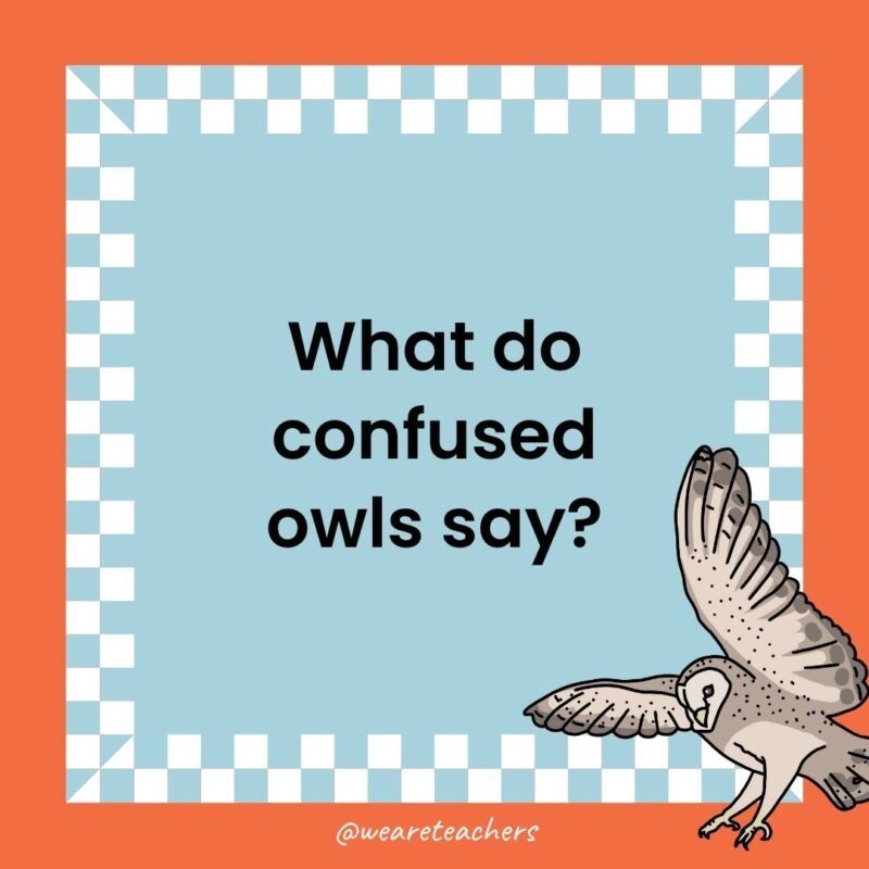 a joke that states: What do confused owls say?