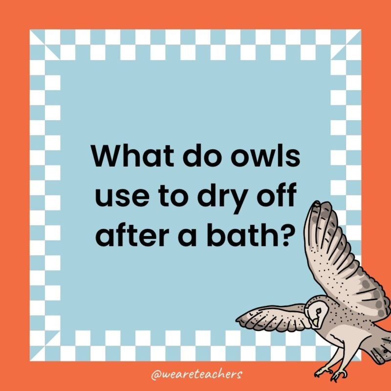 a joke that states: What do owls use to dry off after a bath?