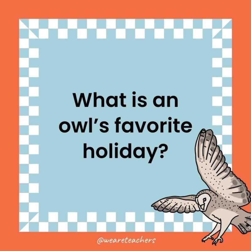 a joke that states: What is an owl’s favorite holiday?