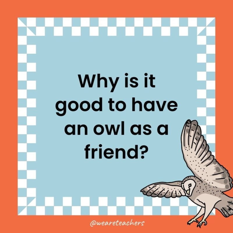 a joke that states: Why is it good to have an owl as a friend?