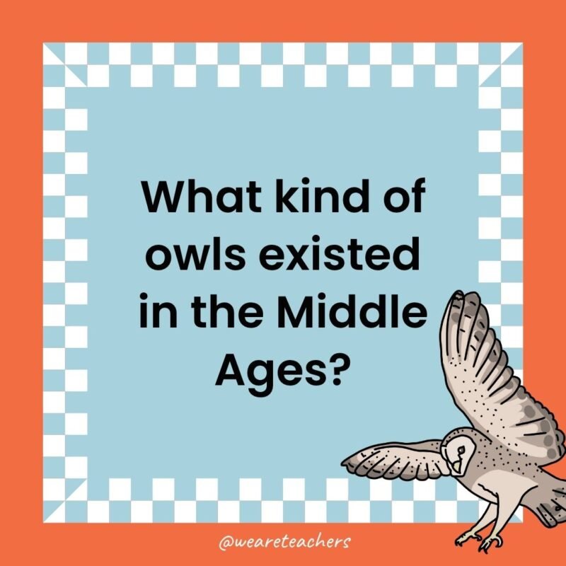 a joke that states: What kind of owls existed in the Middle Ages?