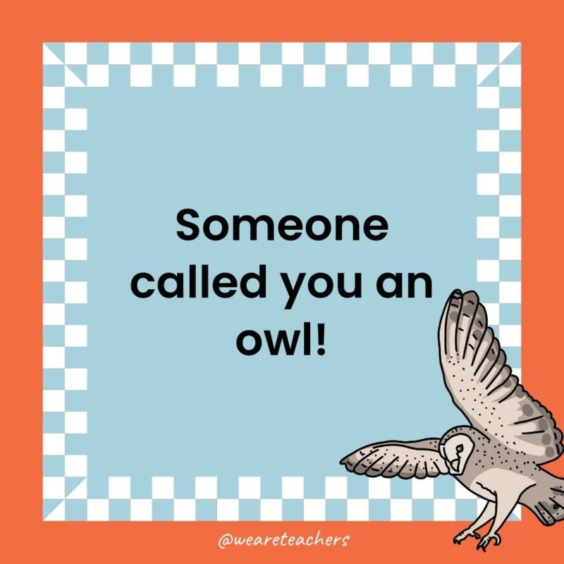 a joke that states: Someone called you an owl!