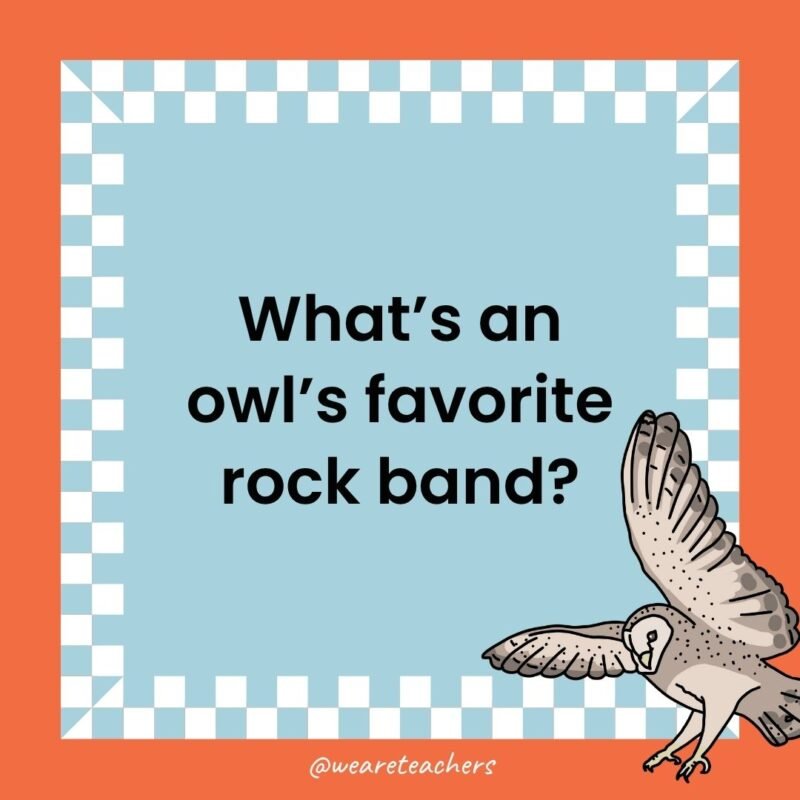 a jokes that states: What’s an owl’s favorite rock band?