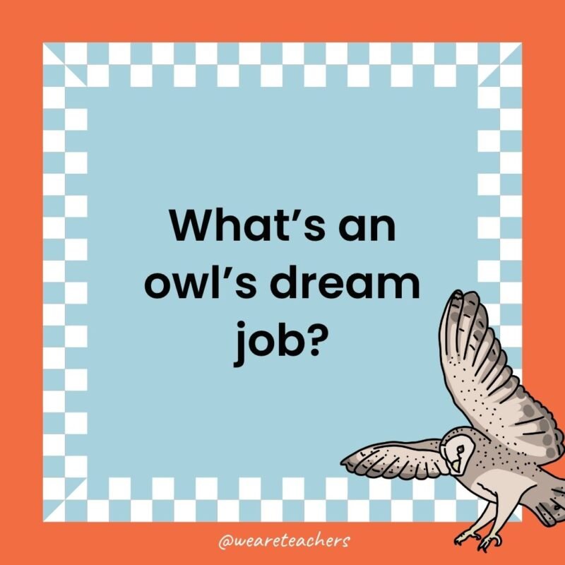 a joke that states: What’s an owl’s dream job?