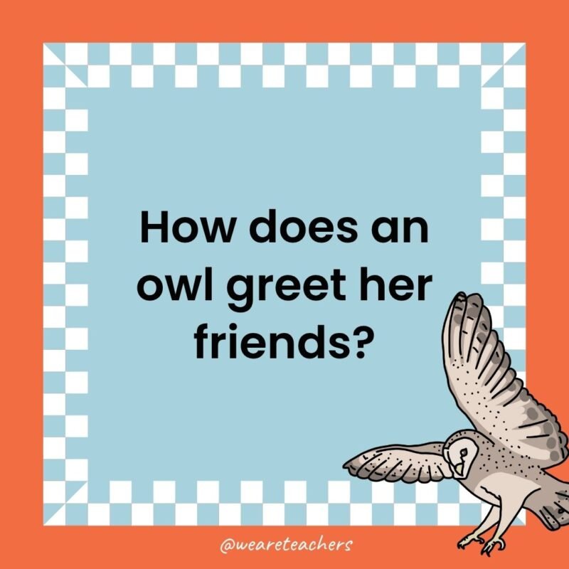 a joke that states: How does an owl greet her friends?