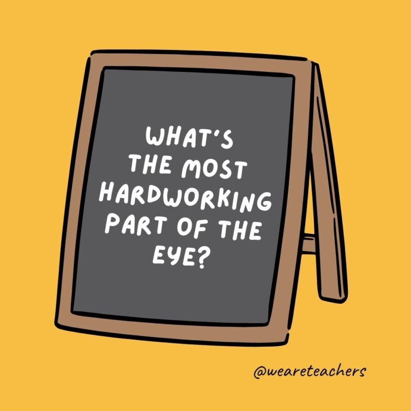 What’s the most hardworking part of the eye? The pupil.- jokes for teens What's the most hardworking part of the eye? The pupil.- jokes for teens