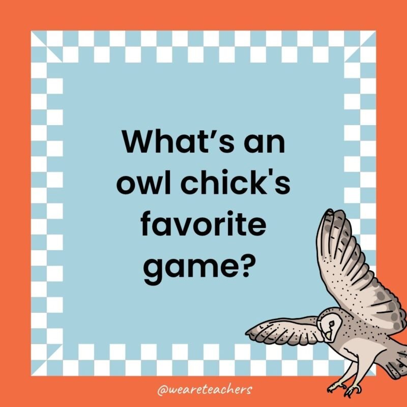 a joke that states: What’s an owl chick's favorite game?