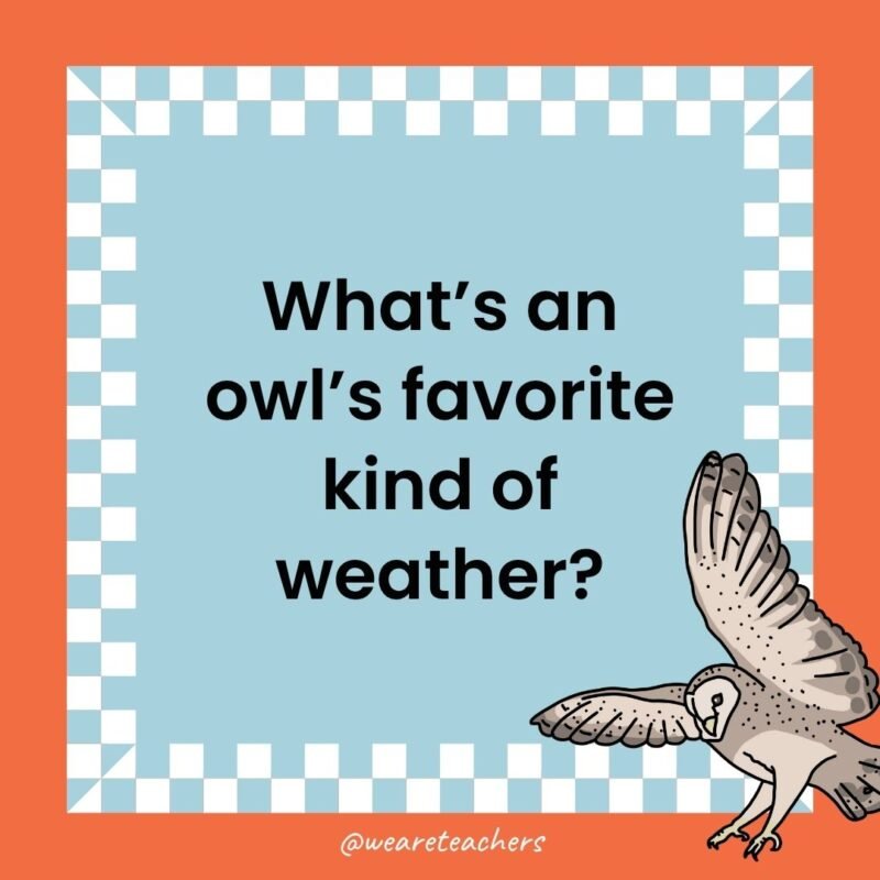 a joke that states: What’s an owl’s favorite kind of weather?