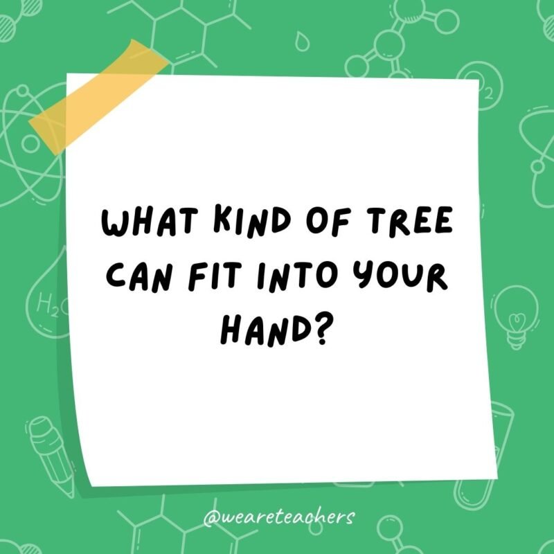 What kind of tree can fit into your hand? A palm tree.
