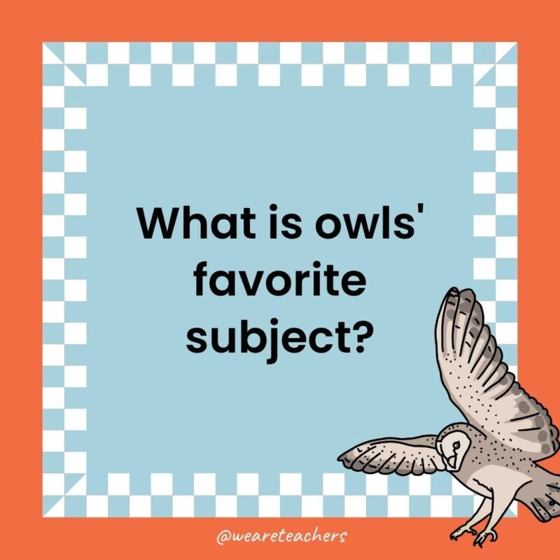 a joke that states: What is owls' favorite subject?