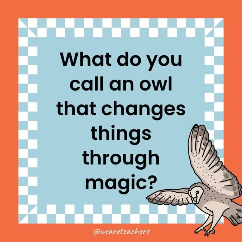 a joke that states: What do you call an owl that changes things through magic?
