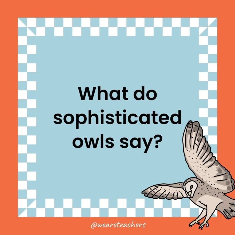 a joke that states: What do sophisticated owls say?