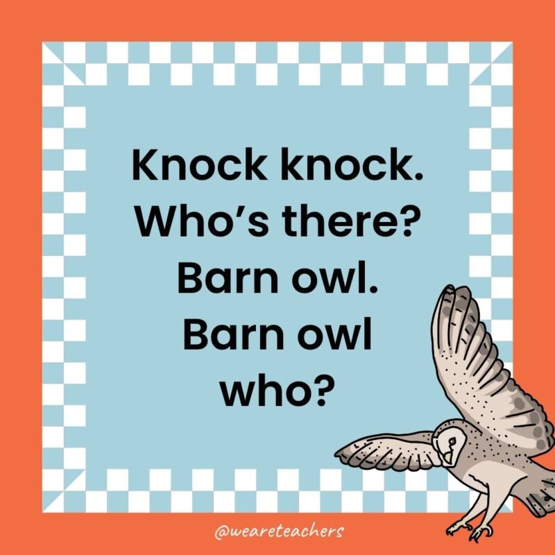 a joke that states: Knock knock. Who’s there? Barn owl. Barn owl who?