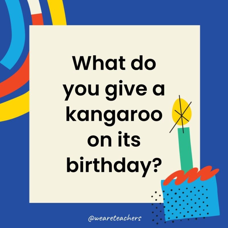 What do you give a kangaroo on its birthday?