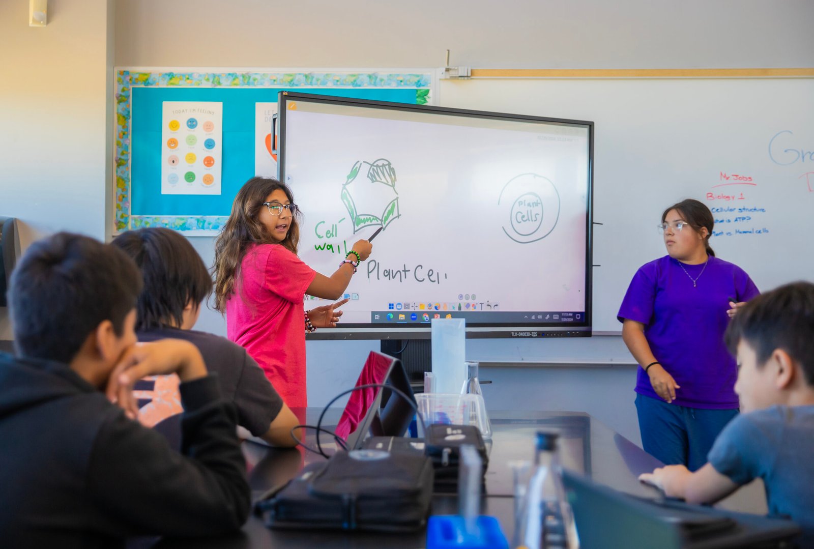 Image of a student using a myViewBoard in class