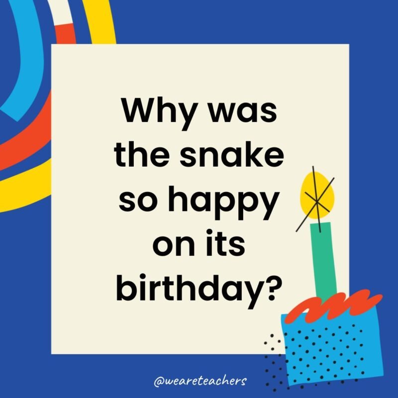 Why was the snake so happy on its birthday?