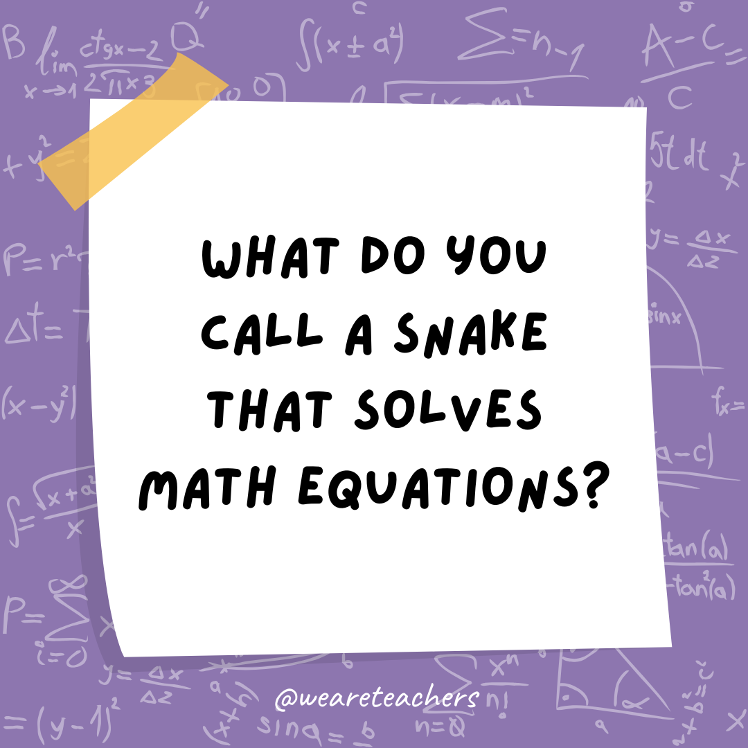 What do you call a snake that solves math equations?