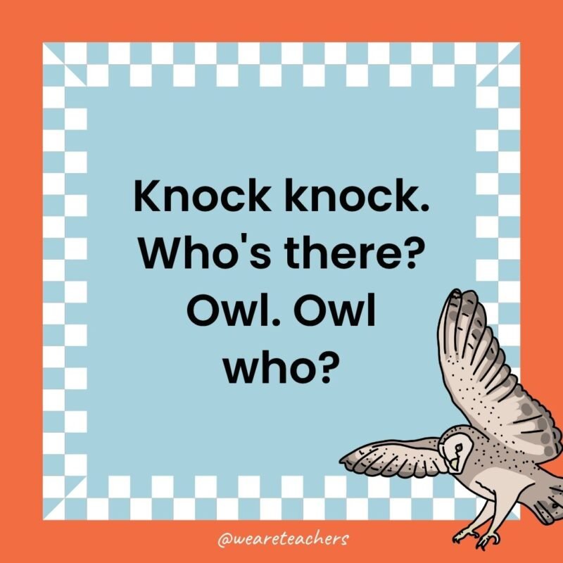 a joke that states: Knock knock. Who's there? Owl. Owl who?