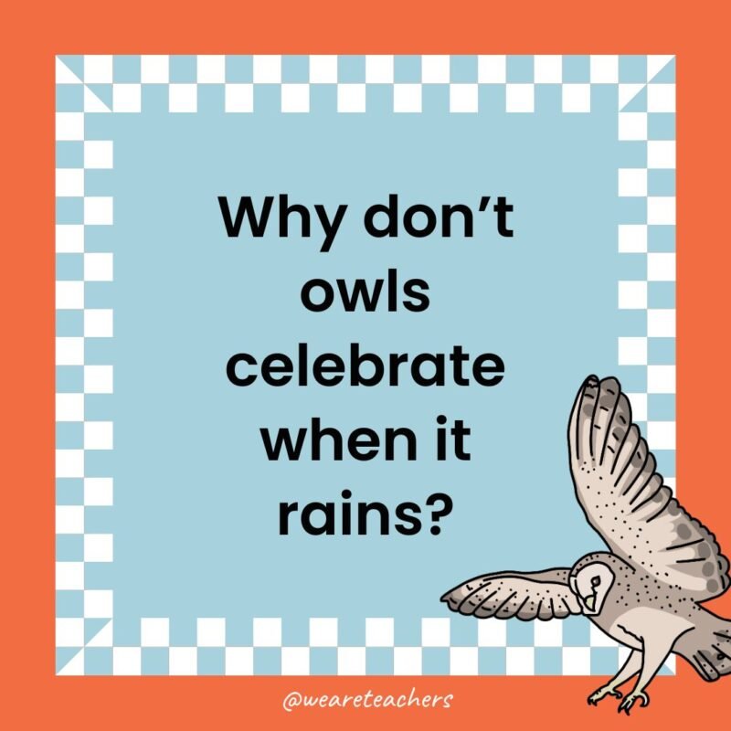 a joke that states: Why don’t owls celebrate when it rains?
