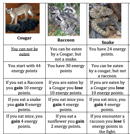 Sample cards for an energy transfer food web activity game