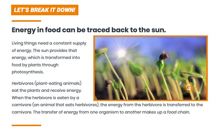 Sample informational text for students about food webs