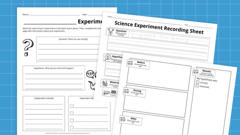 an image of a few science experiment worksheets for students