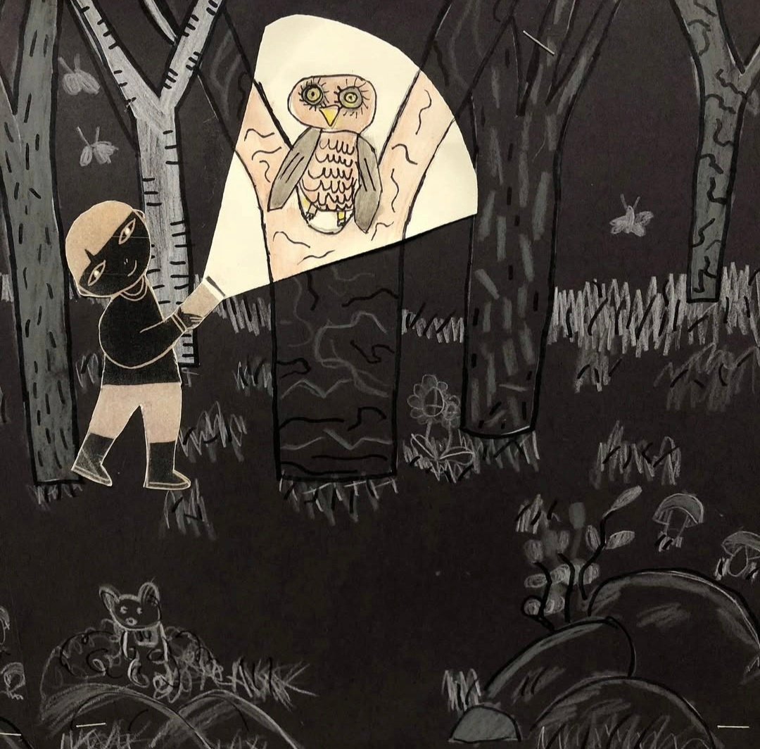 Night scene drawing in the forest with an owl highlighted by a flashlight