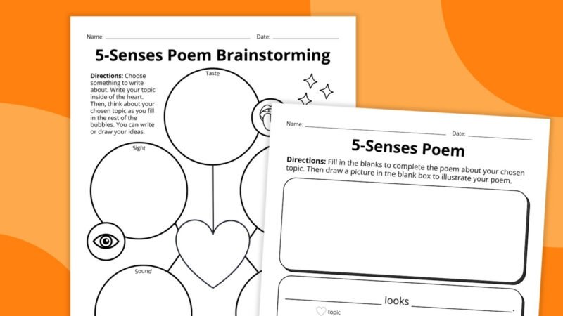 five senses worksheets 