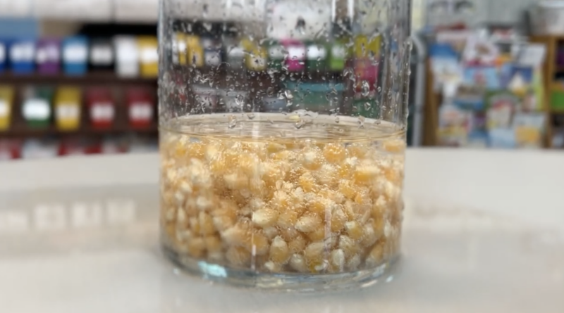 easy science experiment for kids: dancing popcorn