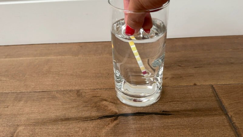 easy science experiment for kids: ph water