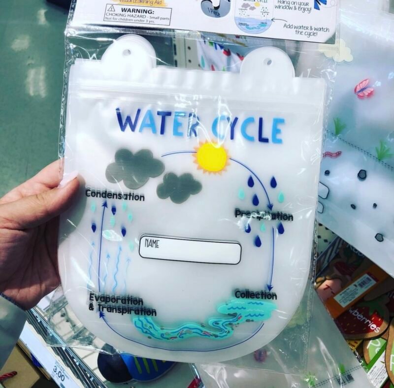 easy science experiment for kids: water cycle in a bag