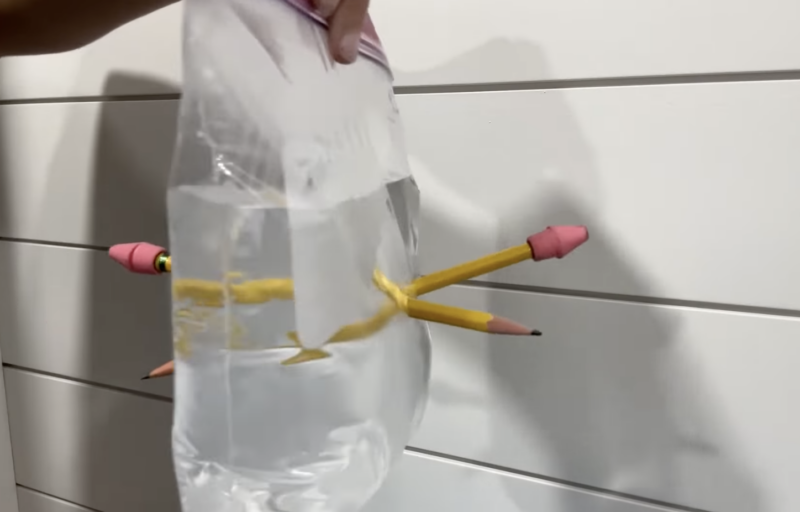 easy science experiment for kids: pencil bag experiment