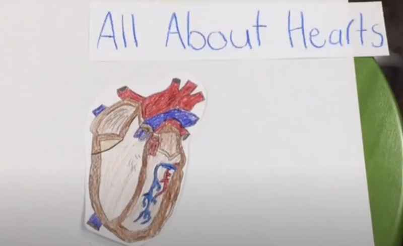 a student drawn heart from a heart drawing tutorial