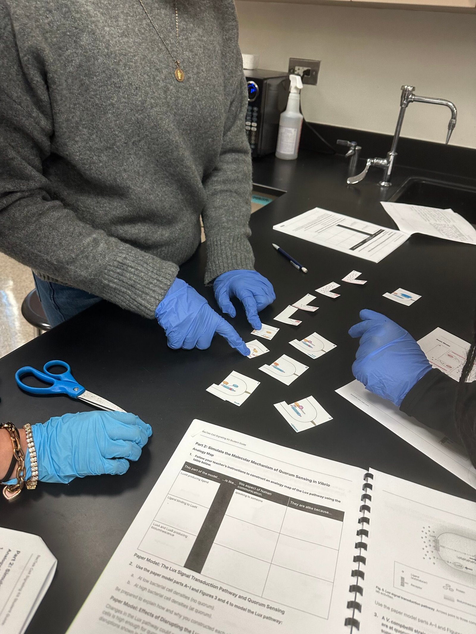 Image of students working on the Bio-Rad BacTalk Cell Signaling Kit