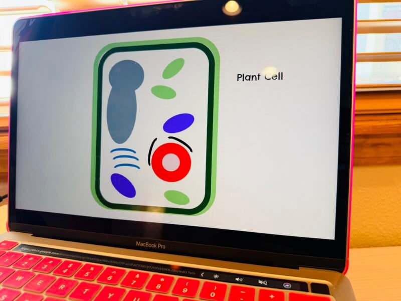 a digital model of a plant cell on a computer screen