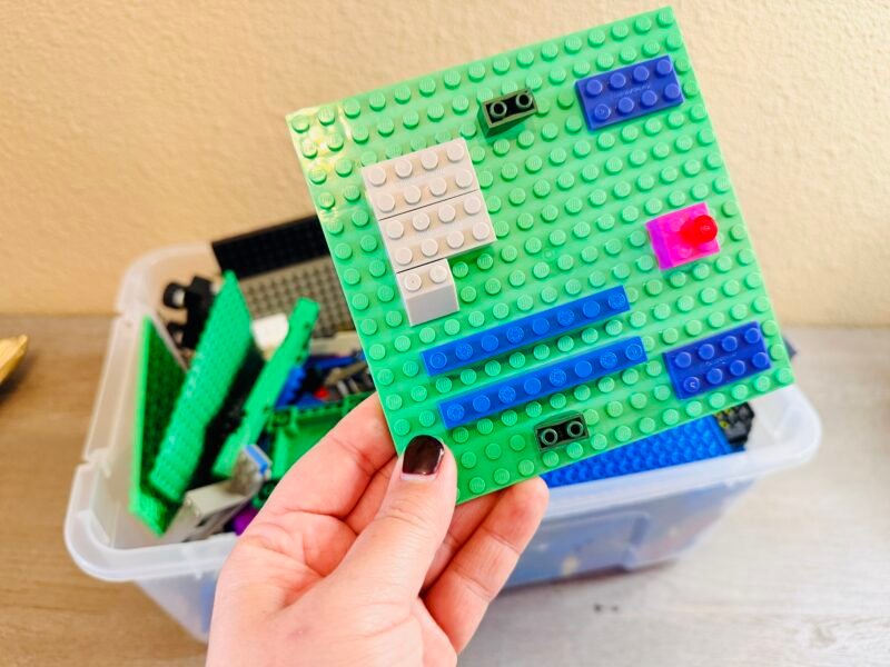a plant cell model made out of lego pieces